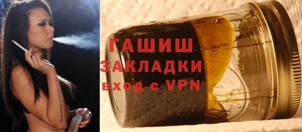 хмурый Арсеньев