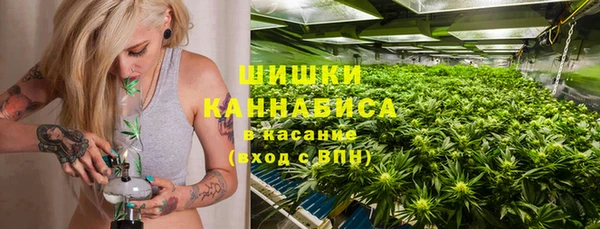 хмурый Арсеньев