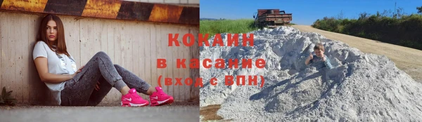 хмурый Арсеньев