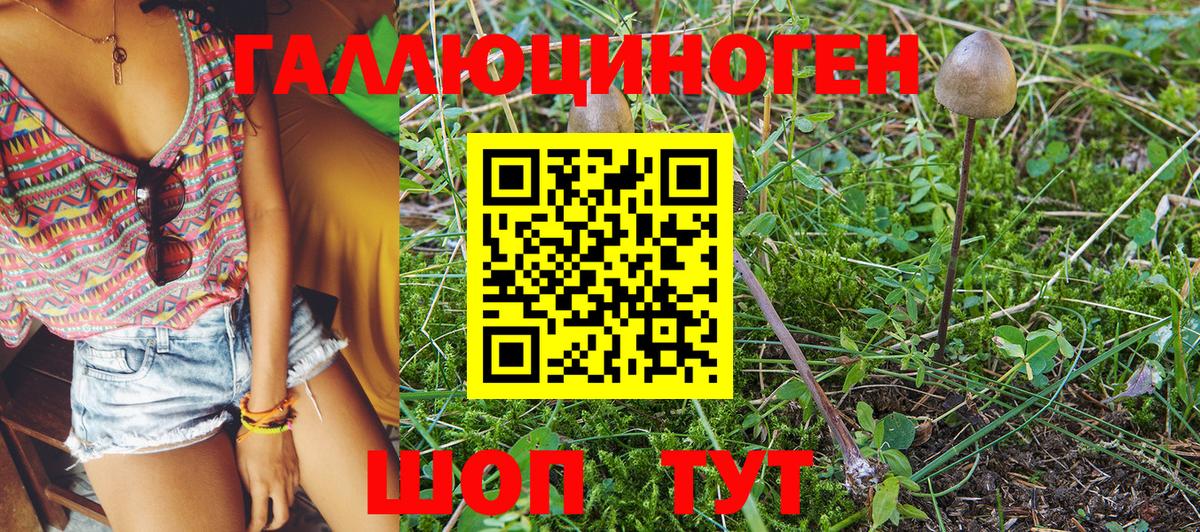 Галлюциногенные грибы Psilocybe  Псилоцибиновые грибы ЛСД  Вятские Поляны 