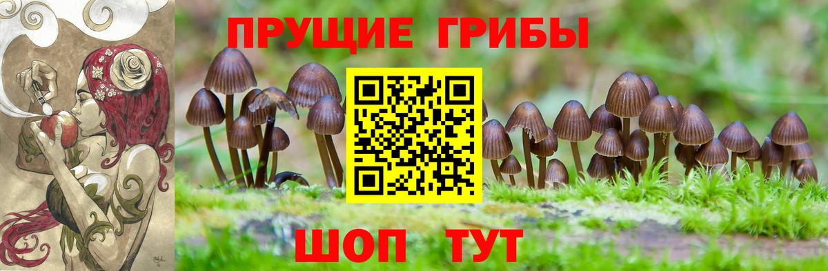 Вятские Поляны  Псилоцибиновые грибы GOLDEN TEACHER  Галлюциногенные грибы MAGIC MUSHROOMS  Вход с VPN 