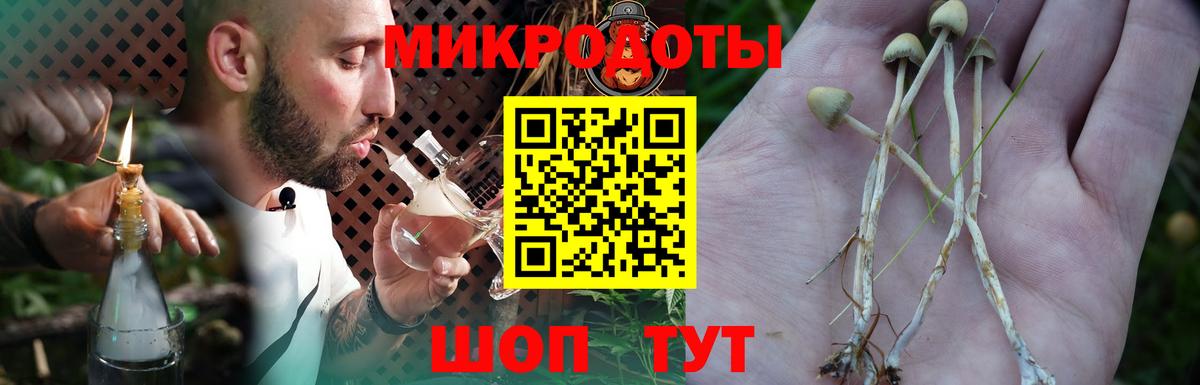 Галлюциногенные грибы мухоморы Вятские Поляны